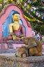 nepal-8848.jpg - 